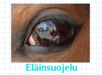 etusivubanneri_elainsuojelu